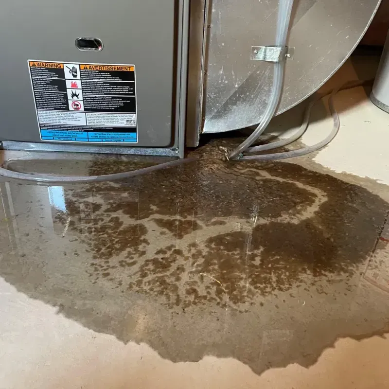 Appliance Leak Cleanup in Gardnerville, NV